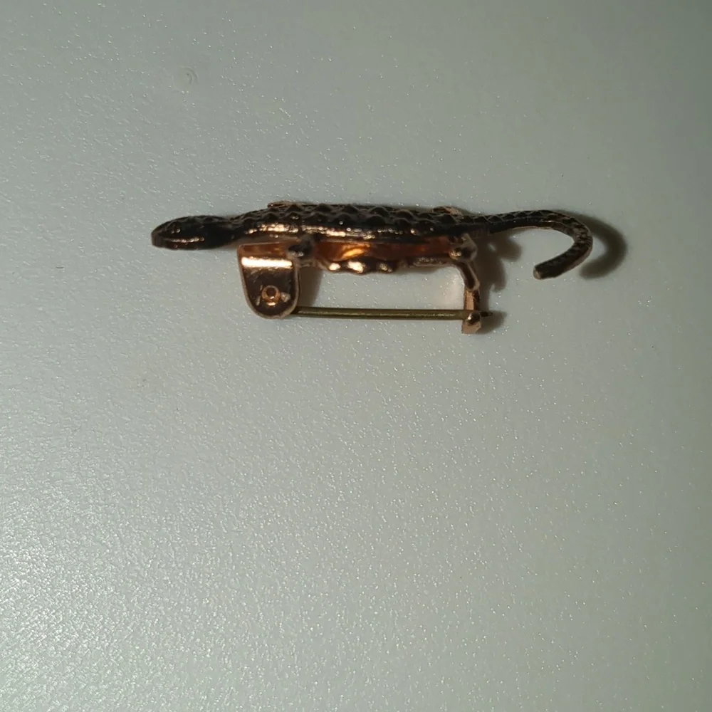 Bronze Lizard Pin - Picture 2 of 3